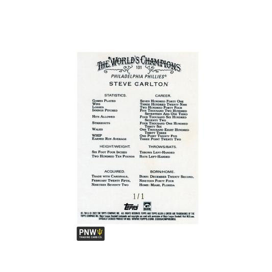 MediLytic Probe Cleaner 100 ml