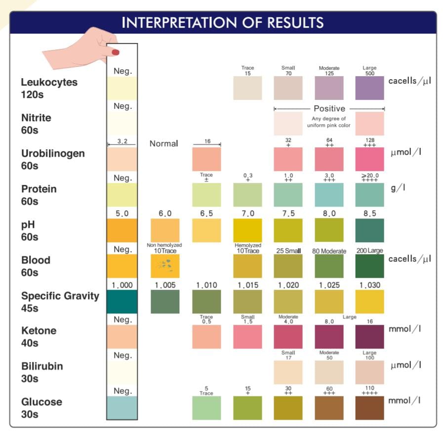 MediLytic Urinary Strips - 10P (10 Parameter) For urinalysis